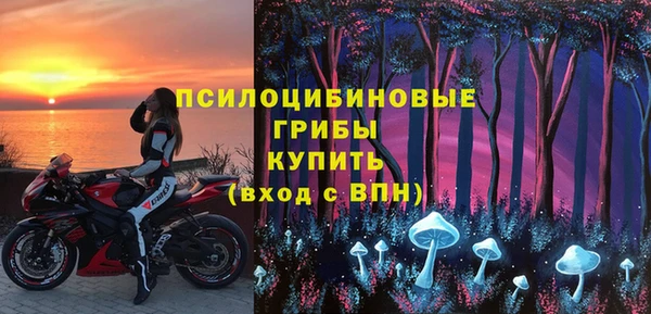 хмурый Алексеевка