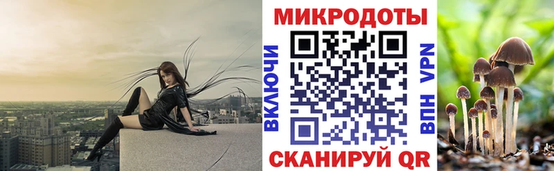 блэк спрут ссылка  дарнет шоп  Каменск-Уральский  Галлюциногенные грибы ЛСД 